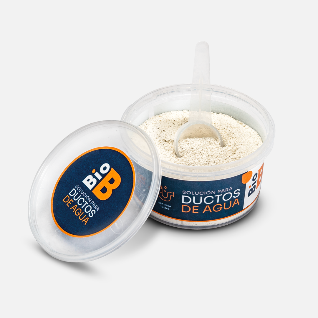 BioB Ductos